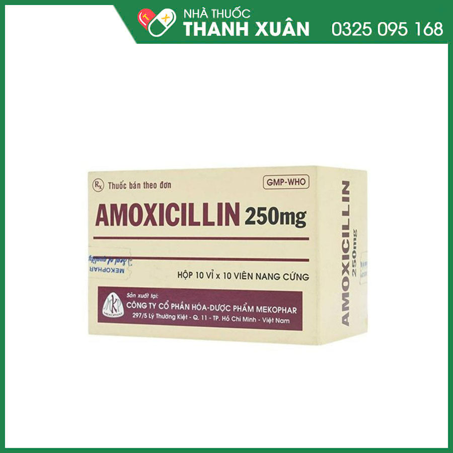 Amoxicillin 250mg Mekophar thuốc kháng sinh điều trị nhiễm khuẩn hô hấp, đường mật, tiêu hoá, tiết niệu - sinh dục và nhiễm khuẩn da